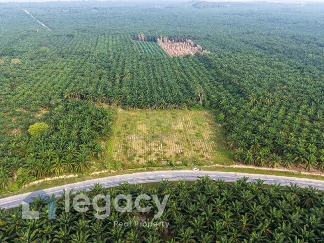 Tanah Lot Pertanian Gelung Pepuyu Titi Gantong Perak Untuk Dijual 1