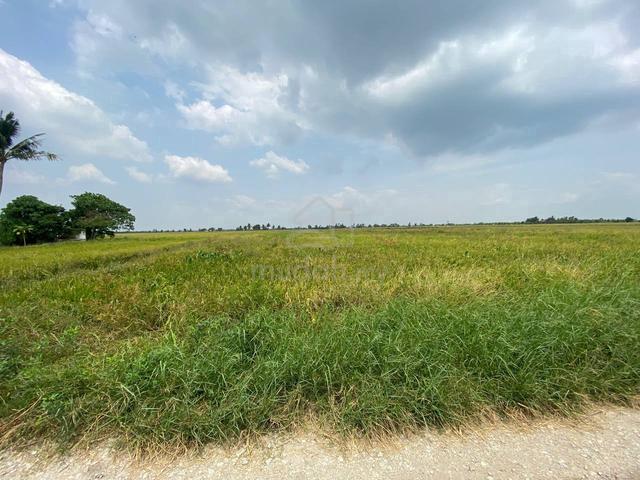 3 acre [FREEHOLD] Sawah padi land Sabak Bernam For sale 1