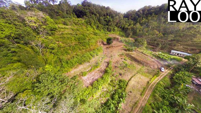 (360 VR) Almost 3 degree cooler High Hill Rare Find Flat Land Sg Rusa 1