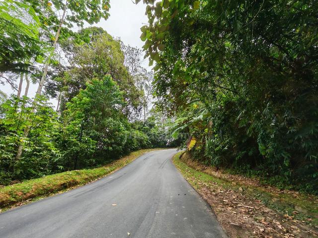 Tanah Jalan Tanarimba Pine, Janda Baik Bentong 1