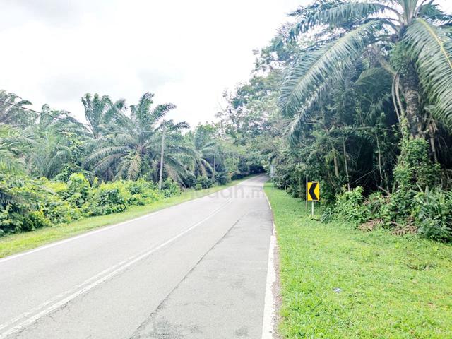 TANAH CANTIK TEPI JALAN | Tanah Pertanian 1.34 Ekar Durian Tunggal 1
