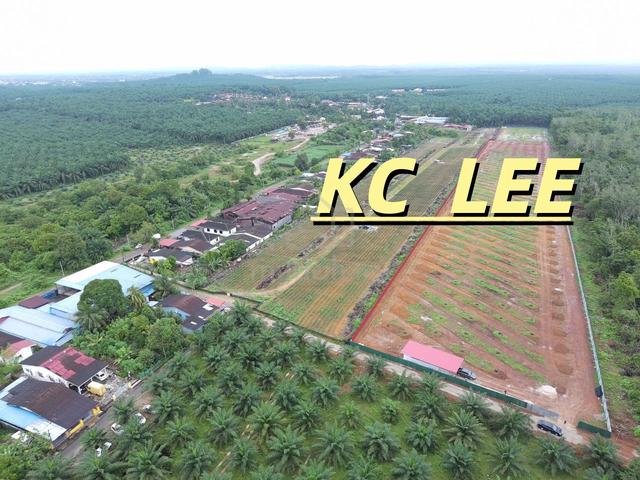 8.44 Acres Flat Land (With Fence) For Sale @ Naga Lilit , Padang Serai 1