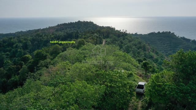 Agricultural Land for Sale, 9.77 Acre(s), Kota Belud, Sabah | Mudah.my