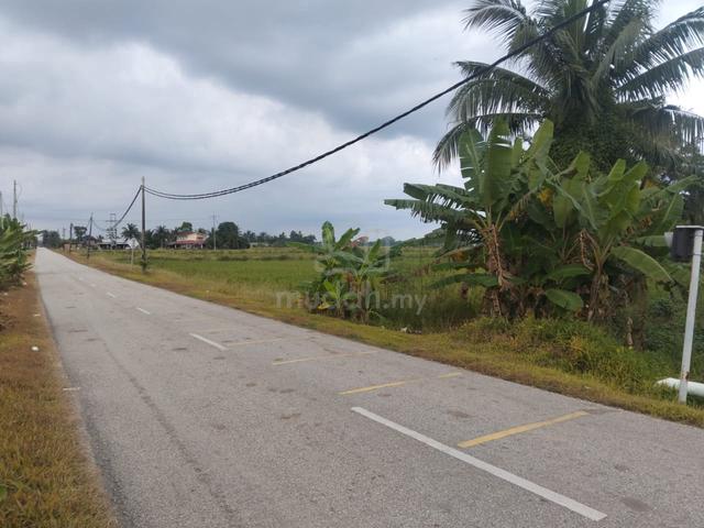 Tanah Sawah geran individu lokasi dekat exit WCE Tg krg utk di jual 1