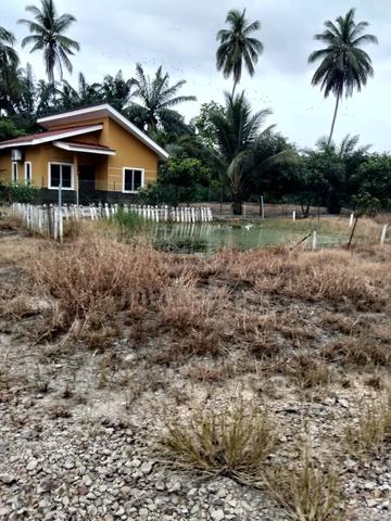 TANAH PERTANIAN 2.5 ekar SIAP RUMAH KEBUN KG DATO MANAN TANJONG KARANG 1