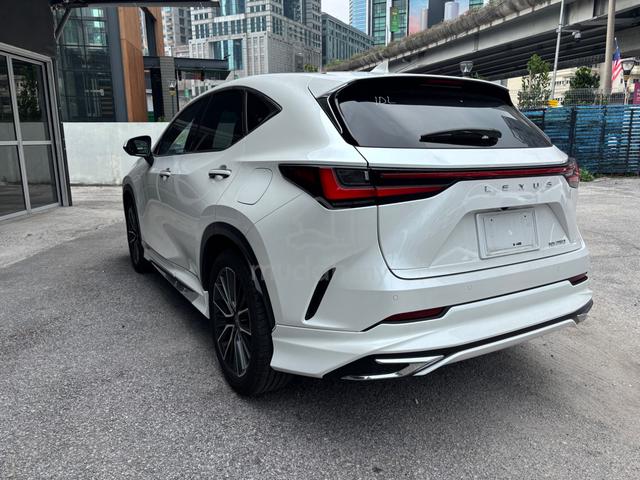 2023 Lexus NX250 2.5 VERSION L MARK LIVISON 360CAM - 5