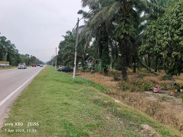 Land For Sale @ Jalan Ibrahim Benut, Facing Main Road 1