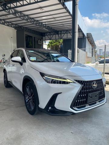 Recond Lexus NX 250 (2023) - 1