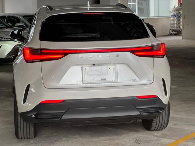 2023 Lexus NX 250 2.5 LUXURY PANORAMIC ROOF HUD - 5