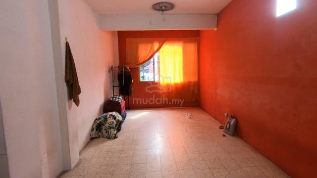 Tulip Apartment 1