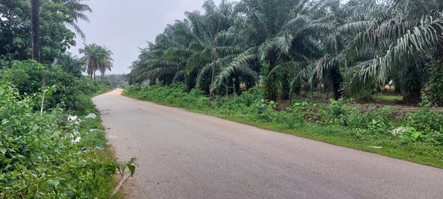 Residential/Commercial Land Sungai Karangan 1