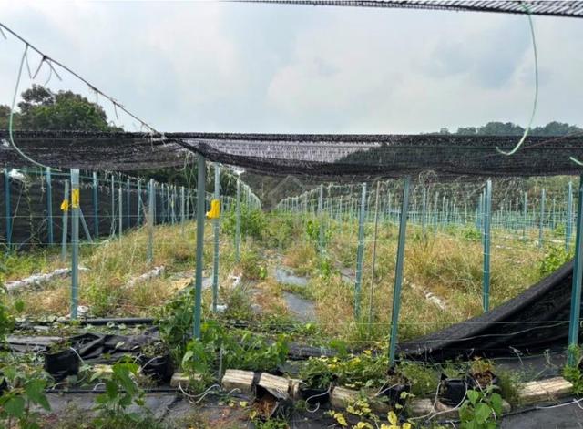 Bangi Kajang Agricultural Land 5 Acres Sungai Tangkas 1