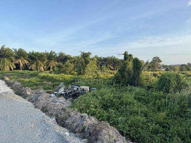 Tanah Lot Pungai Untuk Dijual Di Pungai, Pengerang 4
