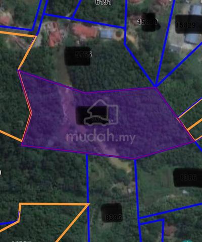 TEPI JALAN CHEAPEST Tanah Pertanian 3 ekar Janda Baik Bentong 1