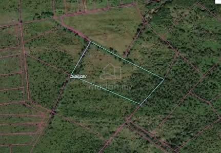 For Rent❗ 📍Membakut Land, in Bongawan, near Beaufort 1