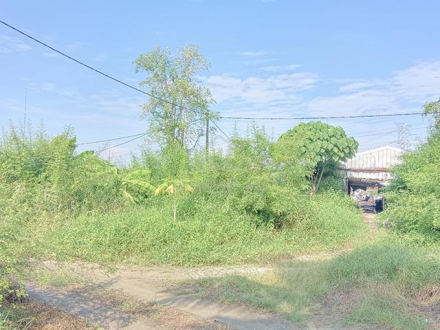 Land for sales 1