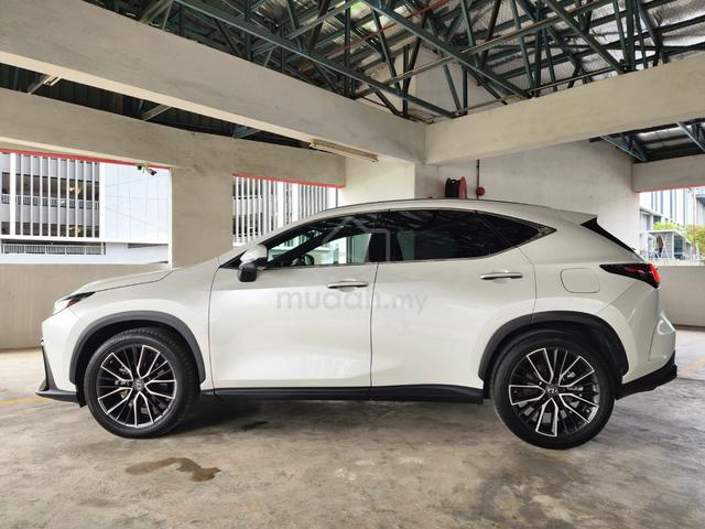 2023 Lexus NX250 2.5 VERSION-L (A) GRADE 4.5B - 5
