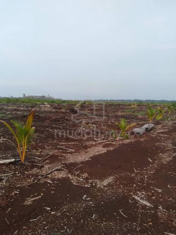 Tanah Untuk Dijual 1