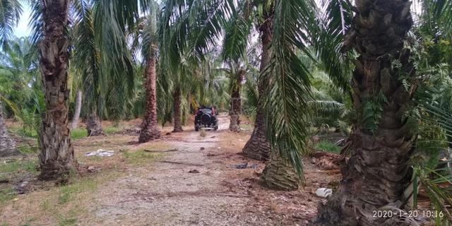 Agricultural Land at Bagan Sungai Burung, Sg Besar, Selangor 1