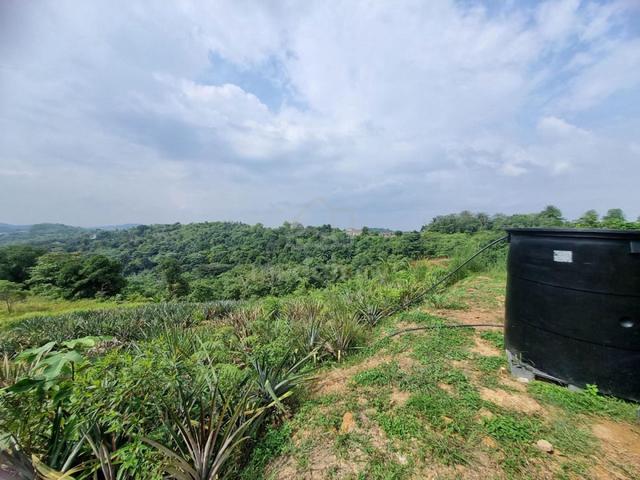 69040 Sqft Agricultural Land for Sale Bukit Cerakah Puncak Alam 1