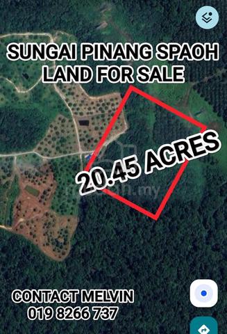 20.45 Acres Land At Sungai Pinang Jalan Spaoh Suitable For Agriculture 1