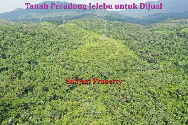 Tanah Pertanian Peradong Jelebu N9 Untuk Dijual 1