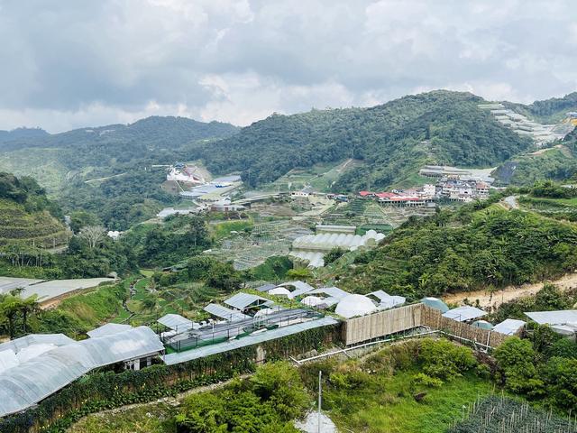 Aranda Nova @ Cameron Highlands 4