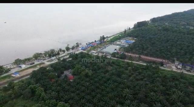 Tanah Tepi Pantai Teluk Kerang Johor | Homestay | Eco Tourism 1