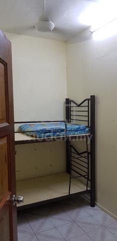 Bilik Sewa Asia city 1