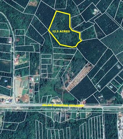 Agriculture Land For Sale at Jalan Segamat-Kuantan, Pahang 1