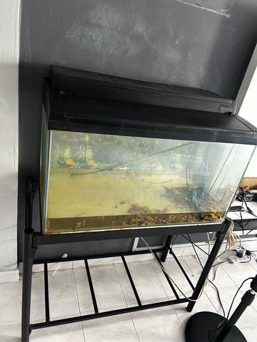 Akuarium ikan - photo 3 of 5