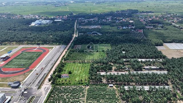 Bertam Besides Road First Grade Land For Sale 1