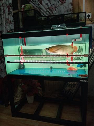 Carousel Image