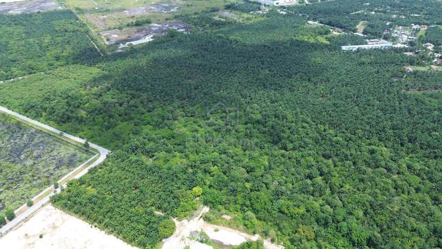 Tanah Pertanian Zoning Industri Olak Lempit Banting 1