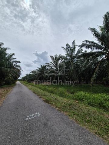 Serkat Tanjung Bin 1