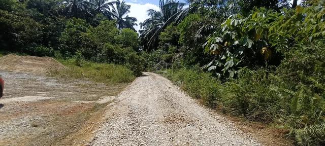 Tanah Sawit 2.9 Ekar Untuk Dijual Ulu Bernam Selangor 1