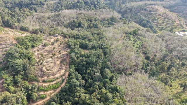 2 Acres Agriculture Land Seberang Bandar Kuala Lipis Kechau 1