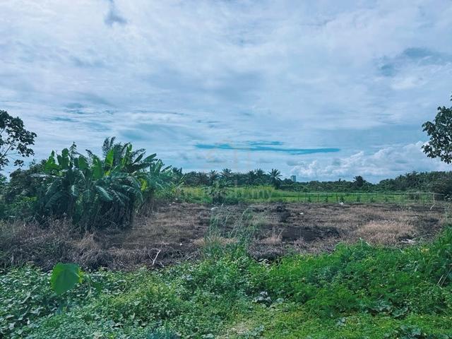 Klang Johan Setia Sijangkang Agriculture Land 2 Acres 1