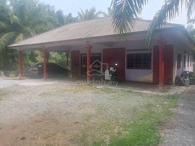 House For Rent 1