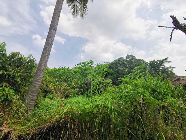 PRIME LOCATION FREEHOLD NON BUMI Agriculture Status Bakar Arang Area 1