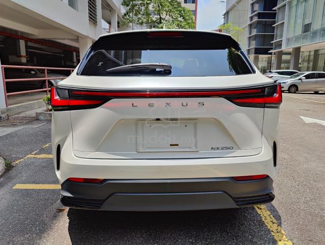 CHEAPEST 2023 Lexus NX 250 2.5 LUXURY NX250 OFFER - 4