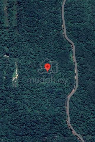 Pahang agriculture land for sales 1
