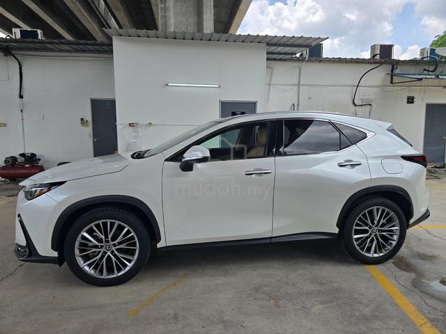 2023 Lexus NX250 2.5 Version L Luxury 5A/15k km - 2