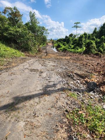 LOT 1521 Matang Land Kuching  For Rent 1