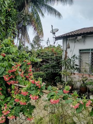 Taman Impianku Semi-D Corner (Kampung Padang Permai ) 4