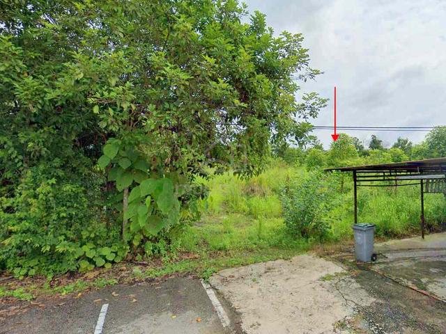 Freehold Agricultural Land, Kampong Jawa, Segamat, Johor 2