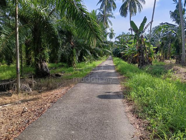 2.5 Ekar Tanah, Berhampiran Politeknik & Pantai B.N.O. Sabak Bernam. 5