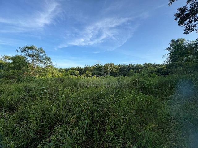 Tanah Kebun Lenggeng Seremban 1