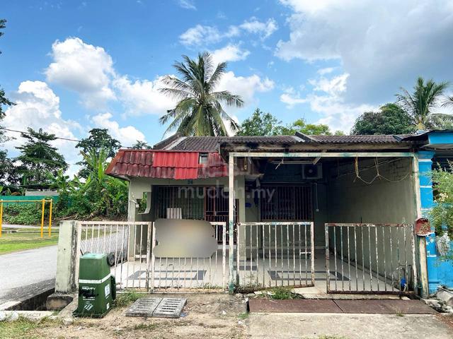 [END LOT] Teres @ Kuala Krau 1