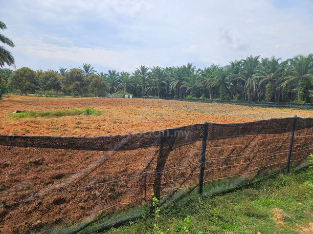 Prime Land for Rent – Ready for Your Next Big Venture! 1